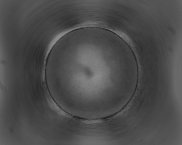 X0000090991296200708021514