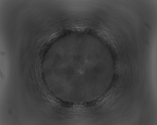 X0000090991297200708021513