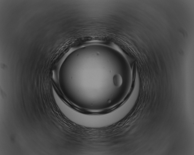 X0000090991298200708021513