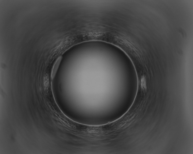 X0000090991299200708021513