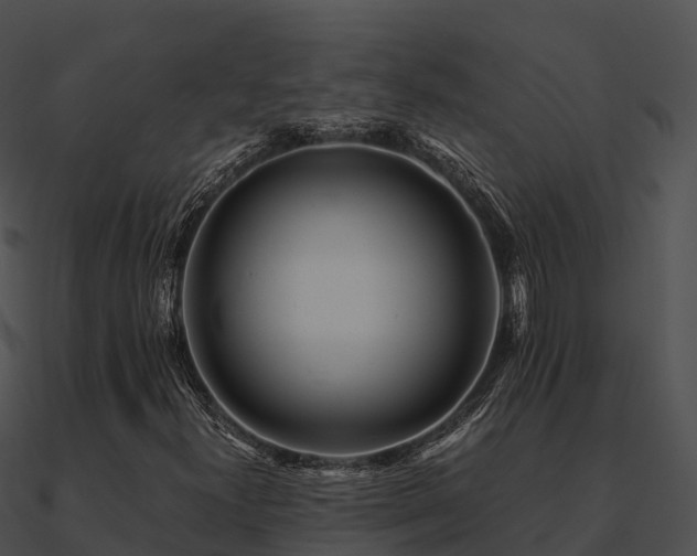X0000090991300200708021513