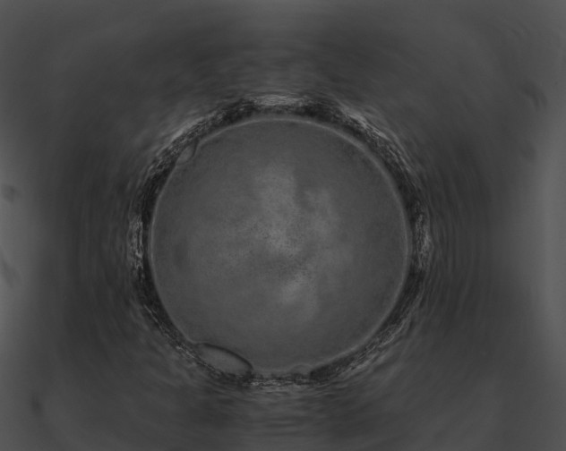 X0000090991301200708021513