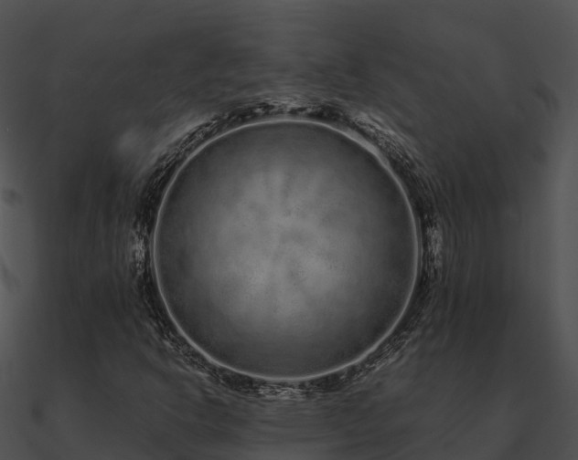 X0000090991302200708021513