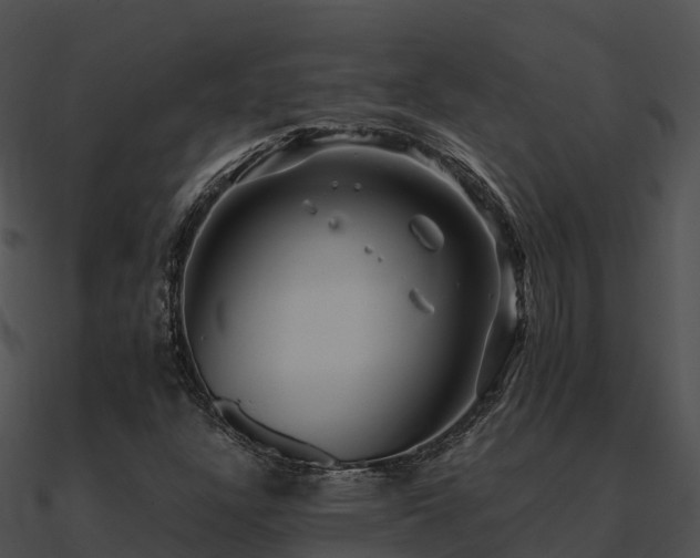 X0000090991304200708021513