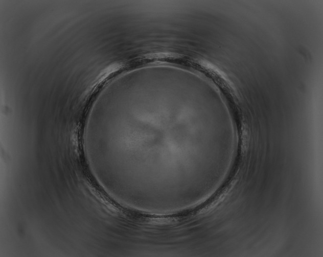 X0000090991305200708021513