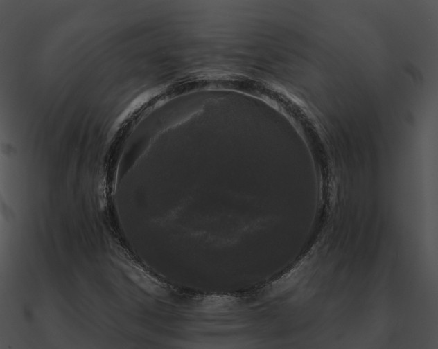 X0000090991306200708021513