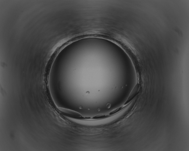 X0000090991308200708021513