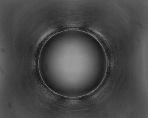 X0000090991309200708021513