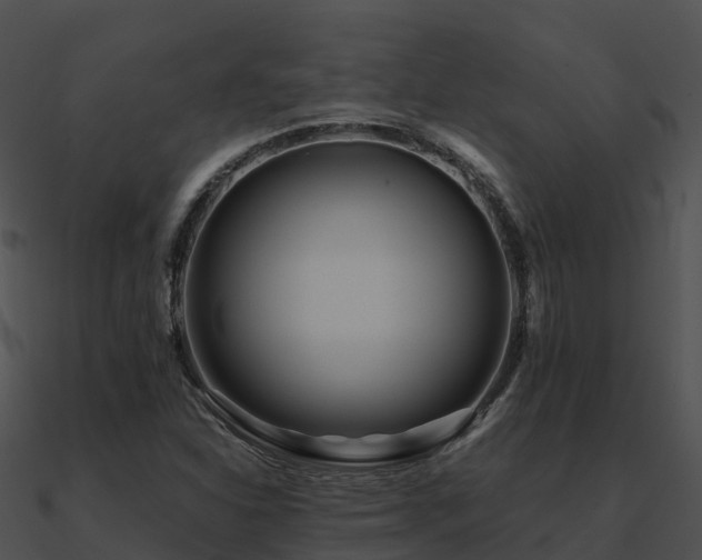 X0000090991310200708021513