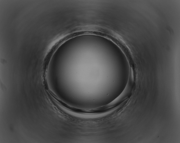X0000090991312200708021513