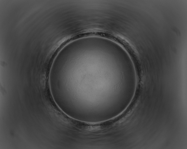 X0000090991313200708021513