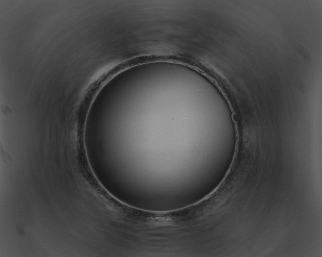 X0000090991315200708021513