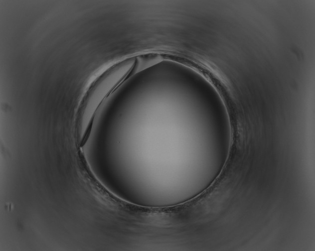 X0000090991316200708021513