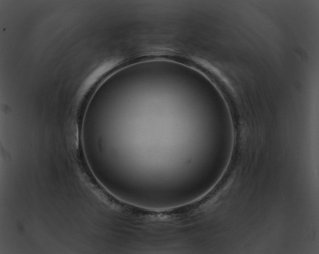 X0000090991317200708021513