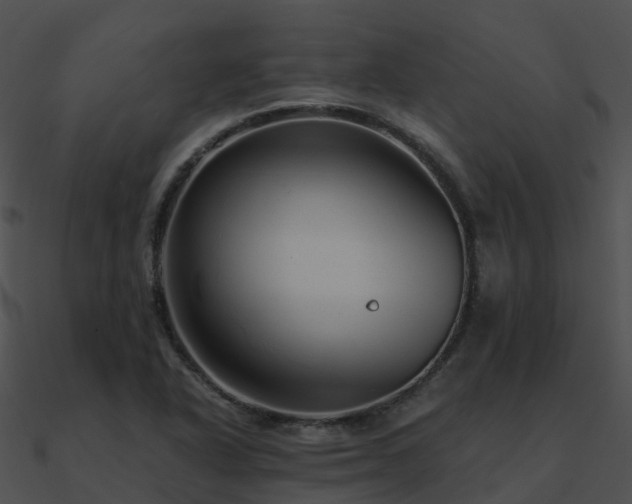 X0000090991318200708021513