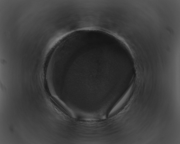 X0000090991319200708021513