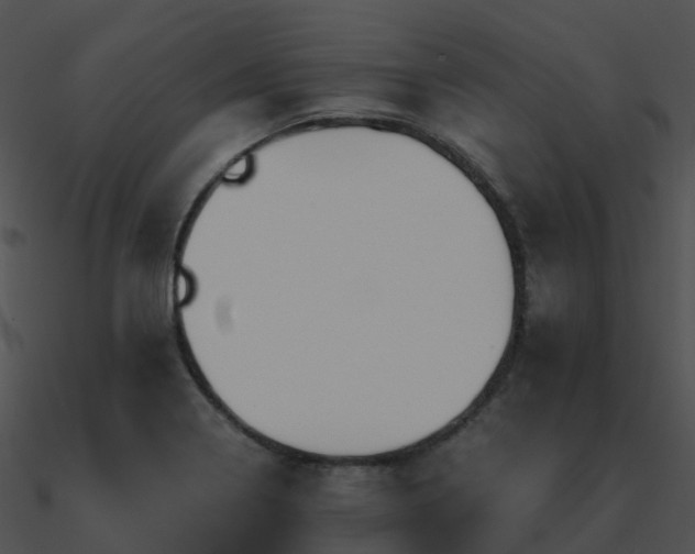 X0000090991322200708021513