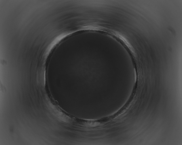 X0000090991323200708021513