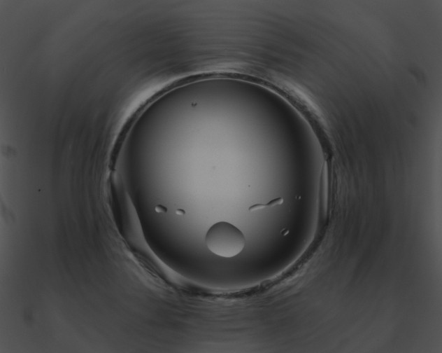 X0000090991324200708021513