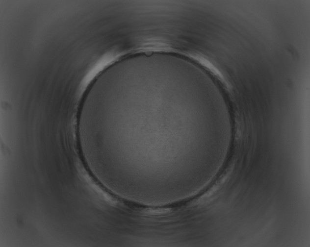 X0000090991325200708021513