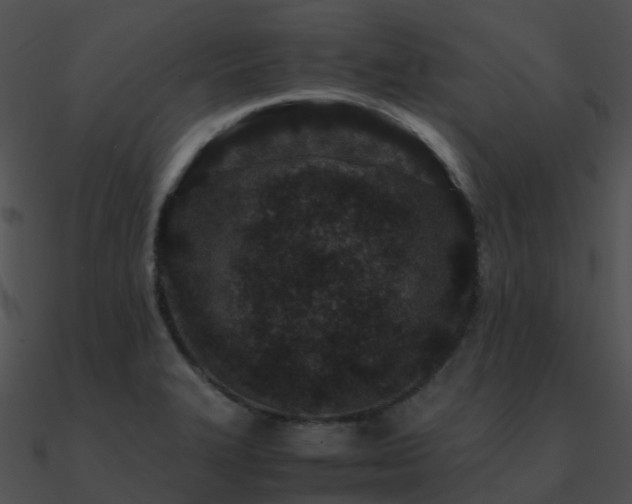 X0000090991327200708021514