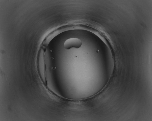 X0000090991328200708021514