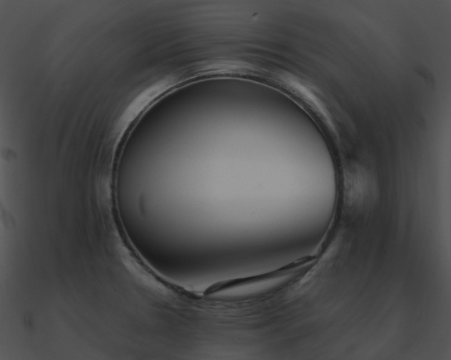 X0000090991330200708021514