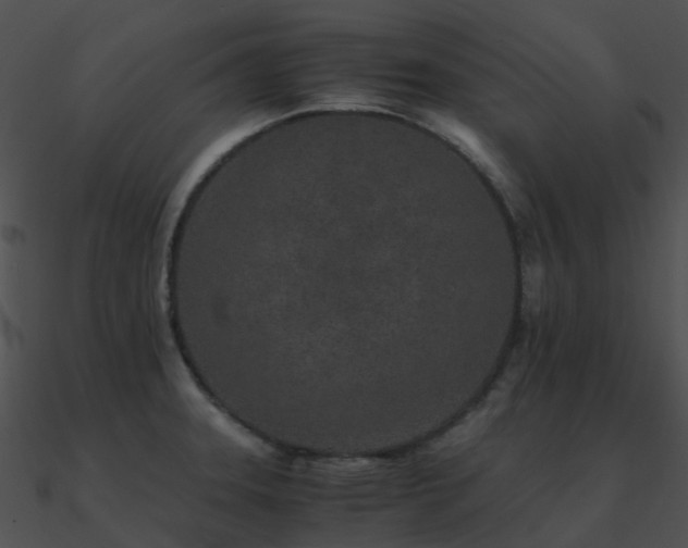 X0000090991331200708021514