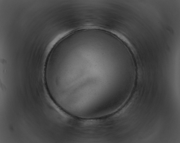 X0000090991333200708021514