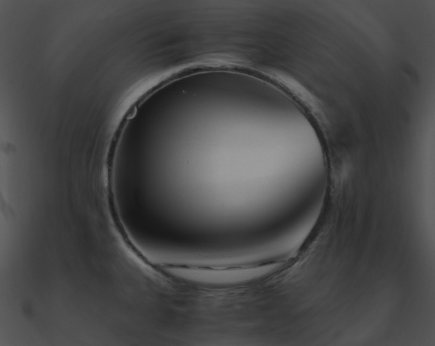 X0000090991335200708021514