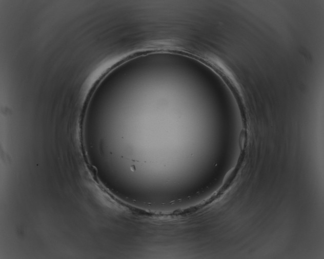 X0000090991336200708021514