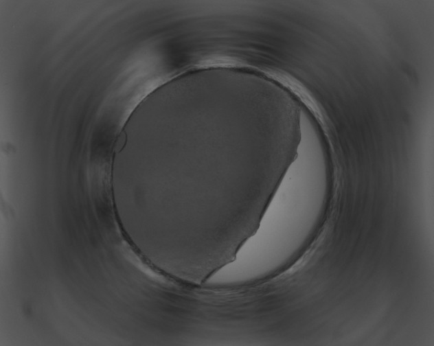 X0000090991337200708021514