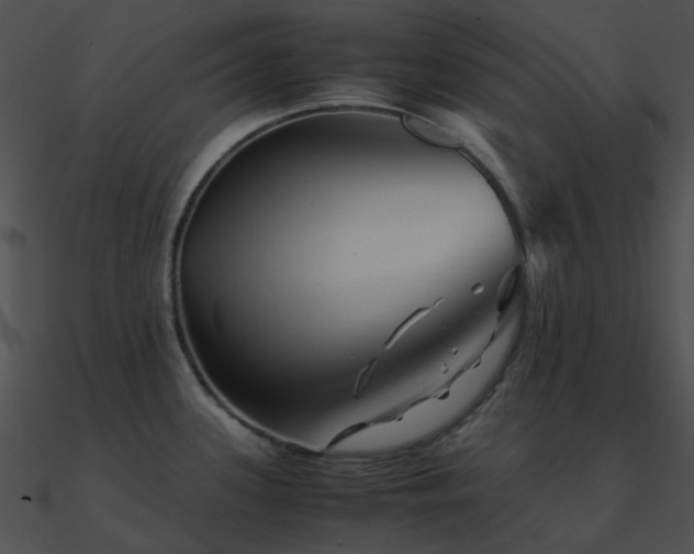 X0000090991339200708021514