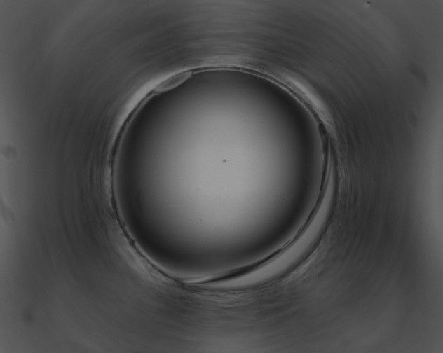 X0000090991340200708021514