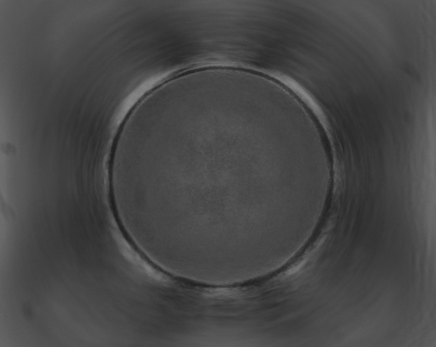 X0000090991341200708021514