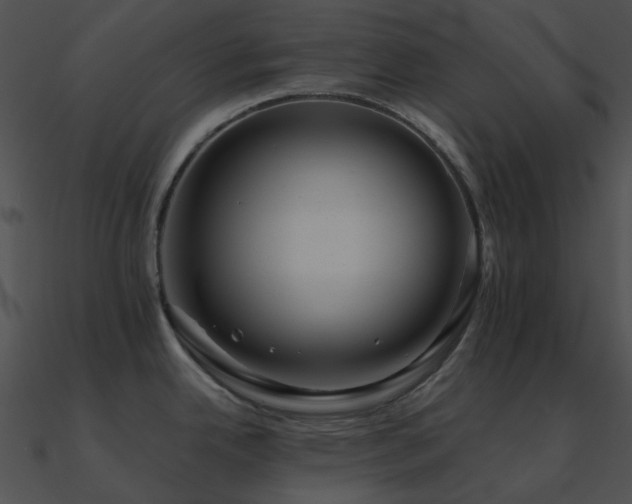 X0000090991342200708021514