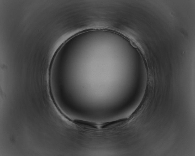 X0000090991343200708021514