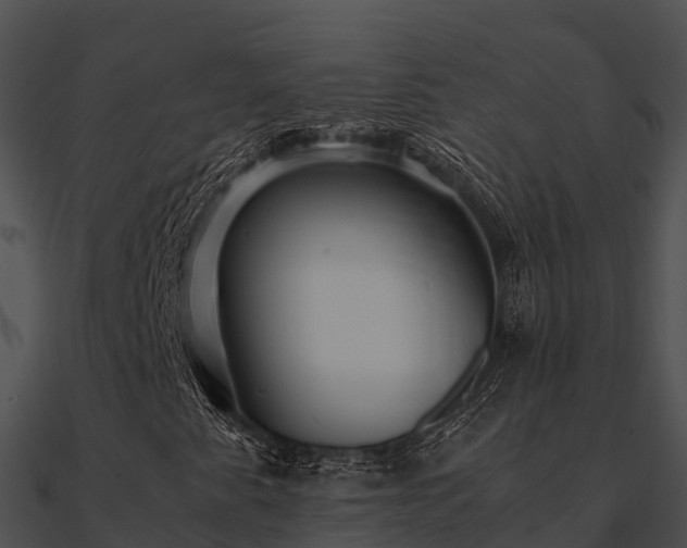 X0000090991345200708021513