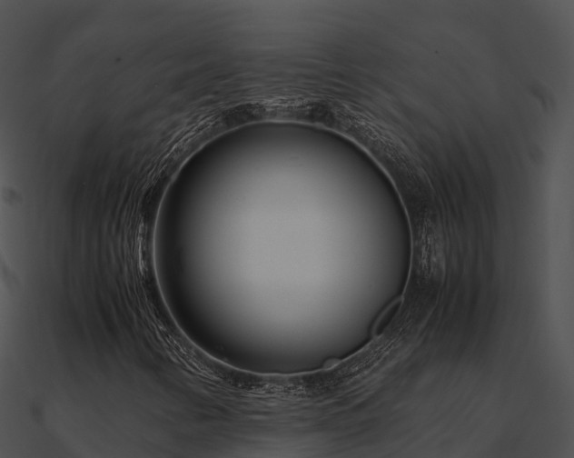 X0000090991346200708021513