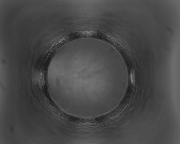 X0000090991347200708021513