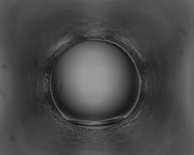 X0000090991350200708021513