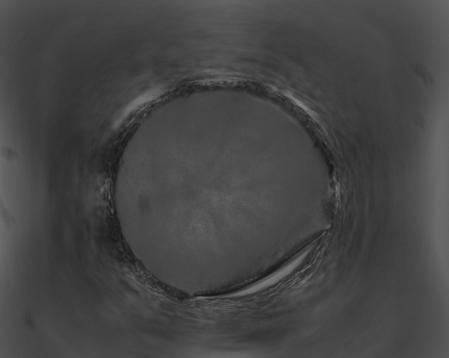 X0000090991351200708021513