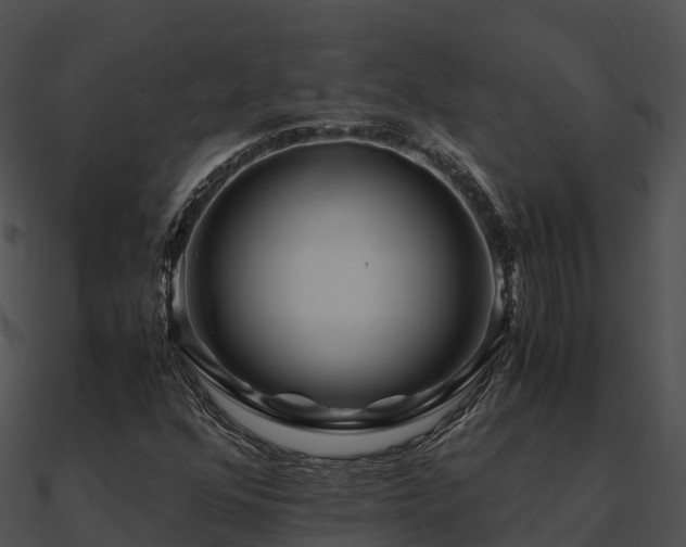 X0000090991352200708021513