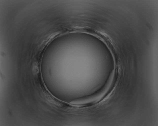 X0000090991353200708021513