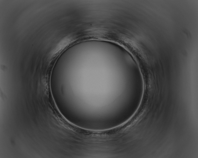 X0000090991354200708021513