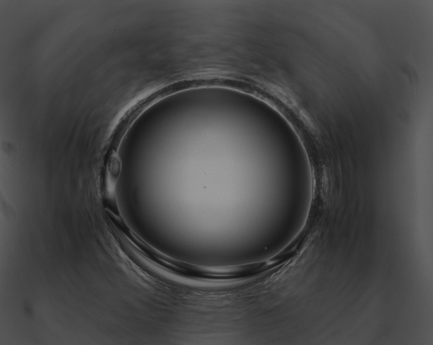 X0000090991356200708021513