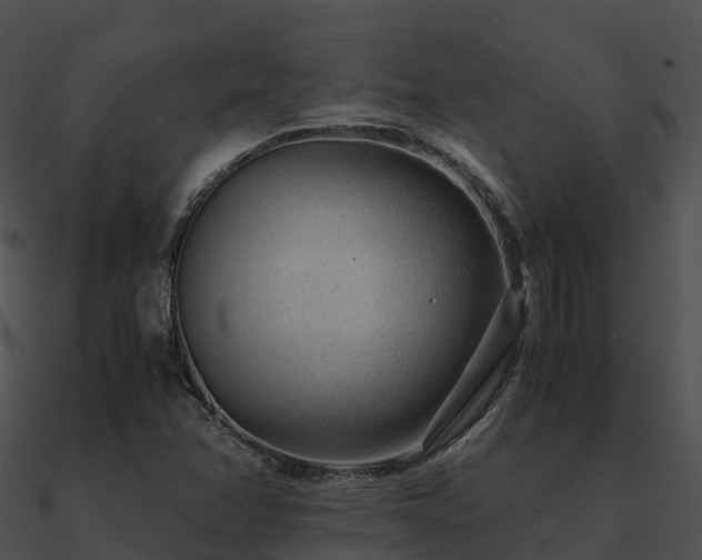 X0000090991358200708021513
