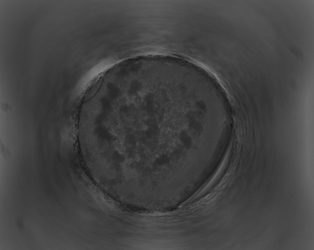 X0000090991359200708021513