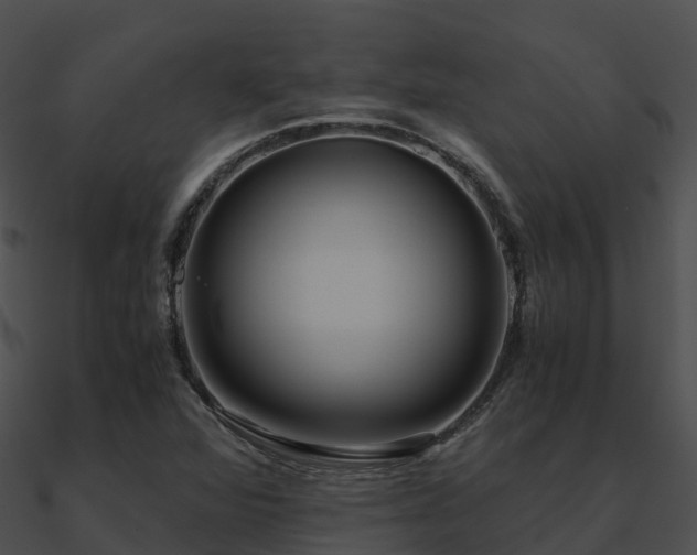 X0000090991360200708021513