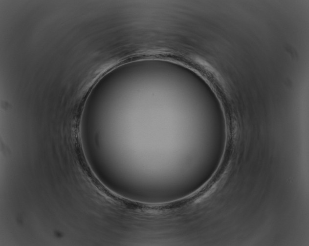 X0000090991361200708021513
